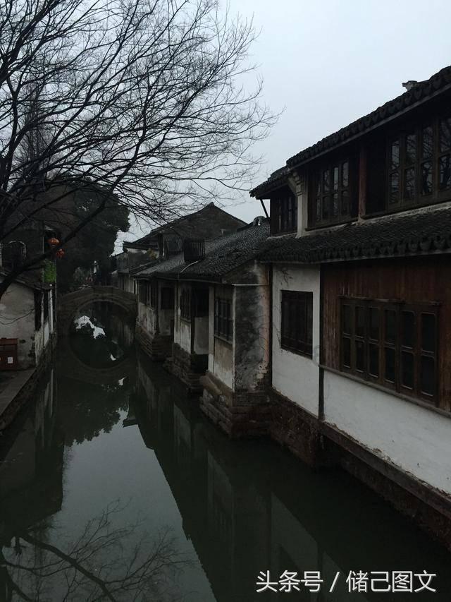 果冻分裂